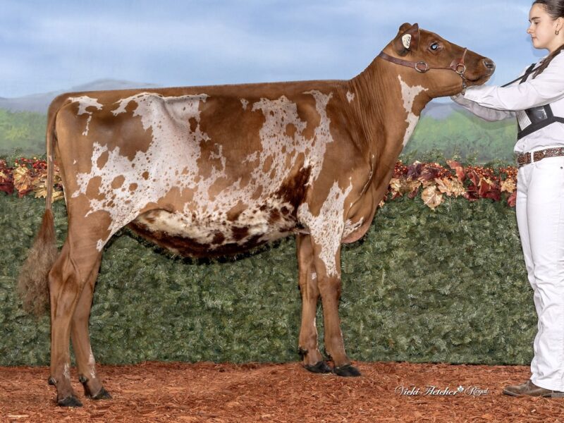 World Winner - B5 - Marilie Reagan May-Lee - Owned by Demers, M & Y Poirier & Country Holsteins (Canada)