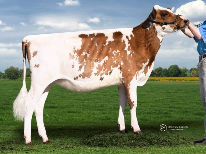 Peoples Choice was Woodburn Park DJ Trigle owned by Paul & Vicki Timbs, Aus