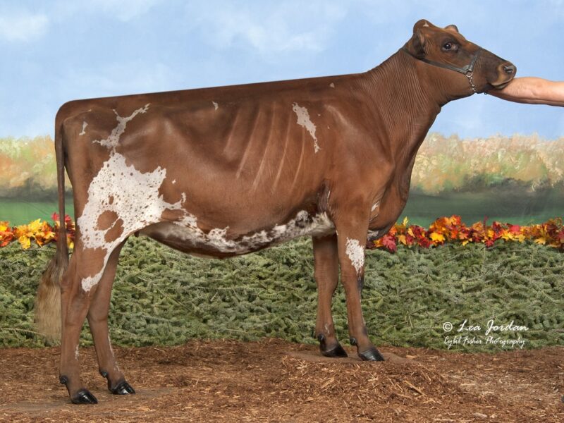 Reserve - On Topp Willy Nilly, Keaton & Kinley Topp, USA