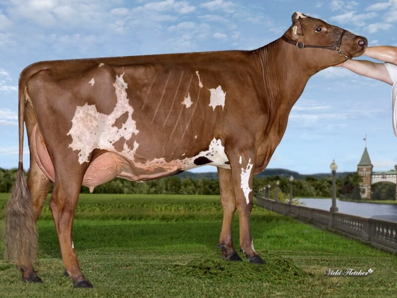 Runner Up - (E2) Bavaroise Predator Riley (Amelie Hardy-Demers & Martin Poirier) CANADA