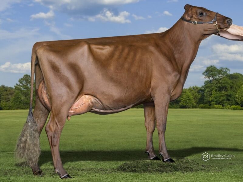 Reserve - Mayfield Farms Burdette Secily, Paul & Vicki Timbs, Australia