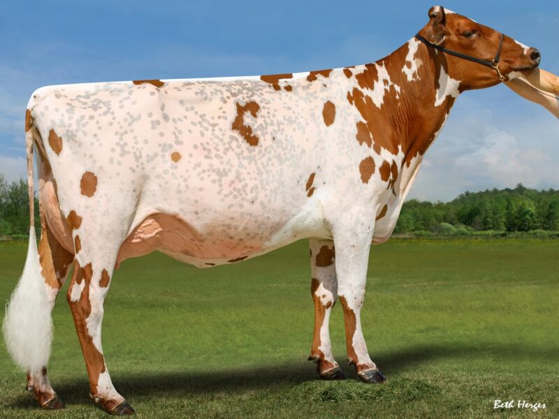 2nd Runner Up - (E5) Twincounty Barcardi Breezer (Brothers Three & Kurt & Michelle Wolf) UNITED STATES OF AMERICA