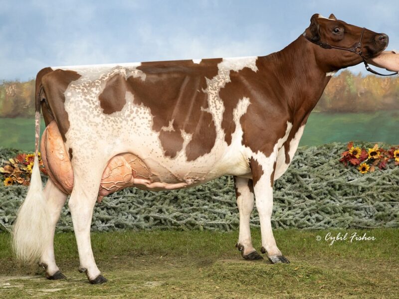 Reserve - Heineman Reagan Roz, Angela Heineman-Fuller, USA