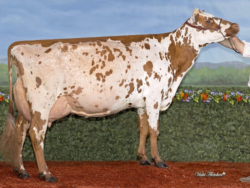 Honourable Mention - Margot Skittles, Ferme Margot, Canada