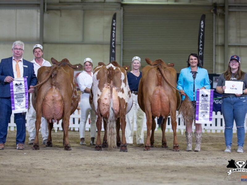 Senior Championship winners