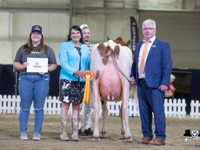 Intermediate Champion