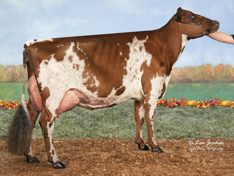 Reserve was Old-Bankston-JC Abercrombie-ET owned by Kurt Wolf, John Cannon & Steve McDonald, Epworth, IA USA