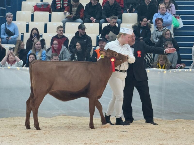 Reserve Junior Moision Venakko