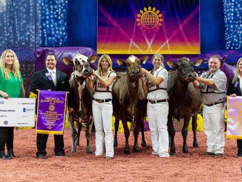 Grand Championship awards