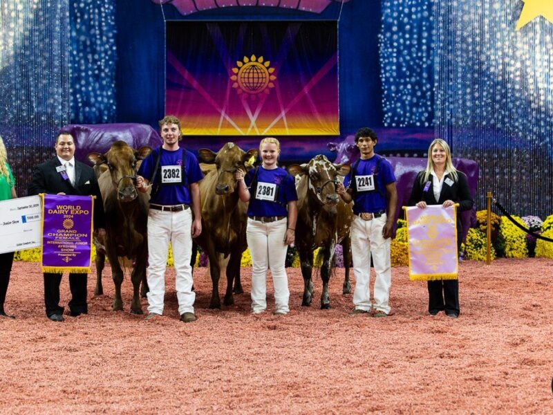 Junior Show Grand Champion awards